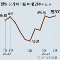경기 아파트 거래 33개월만에 최대… “신생아 대출 등 영향”