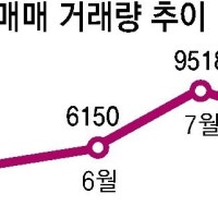 서울 아파트 매매 20% 줄어… 전국 악성 미분양 4년만에 최대