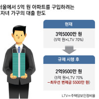 수도권 5억 아파트 디딤돌대출 최대 5500만원 축소