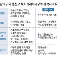 토허제 곳곳 ‘구멍’… 보류지-경매-오피스텔-연립도 규제 빠져