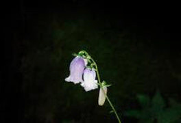 조폐공사 화폐박물관,