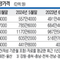 6월 서울 아파트 분양가 31% 상승… 11년만에 최고치