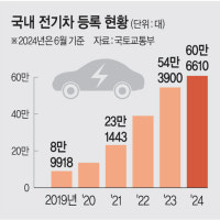 전기차 포비아… 지자체 ‘보조금’ 반납할 판