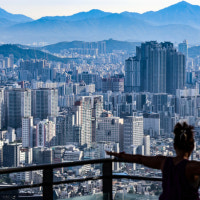 임대아파트 입주민이 1억8000만원 포르쉐 카이엔 보유… “제도상 허점...