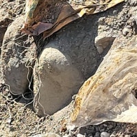 신축 공사장 불법 매립 폐기물 처리 ‘논란’…대구 북구청은 ‘늑장 행...