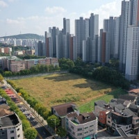 축구장 92개 규모 학교 부지가 놀고있다