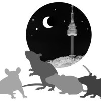 강남 신축 아파트서도