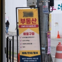 “10·15 부작용 이제 시작”아파트거래 뚝, 전셋값 꿈틀