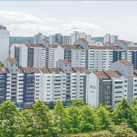 분당 시범, 일산 강촌·백마 “대장주는 우리”