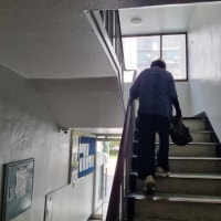 15층 계단 오르다 기절할 뻔…그 아파트는 '노인 감옥' 됐다, 왜