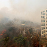 아파트 50m 앞 번진 산불…소화전 물 뿌려 막아낸 울주 주민들