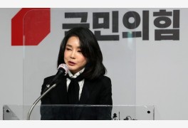 [단독] ‘정대택 국감 증인’ 불발, 김건희 “우리가 취소시켰다”