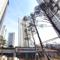 마지막 ‘줍줍’…세종 무순위 아파트 3가구 120만명 몰렸다