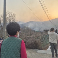 1700가구 아파트 100m 앞까지…울산 울주군 12년 만에 또 화마