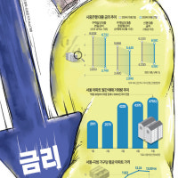 금리인하에 기름 붓는 정부… 서울 아파트값 `들썩`