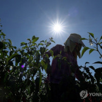 폭염 지속 영향에…아파트 8월 전기료 3년래 최고 찍었다