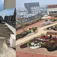 대구시, 대구예술발전소 생활밀착형숲 조성 완료