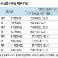 내년 보유세, 서울 강남·‘마·용·성’만 상승
