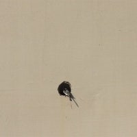 며칠 전 고라니가 천막 옆에 똥을 쌌다, 기뻤다