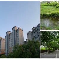 LED 조명 바꾸고, 태양광 패널 설치하고... 이 아파트의 노력