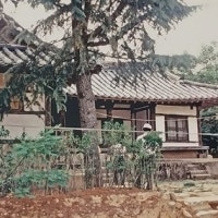 동학, 들불처럼 타오르