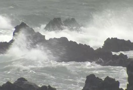 태풍 '무이파' 중국, '므르복' 일본 동해로...변수는 14호 '난마돌'