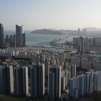 초고층 아파트가 부산에 몰린 이유는?