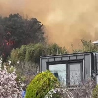 울산 울주 언양읍 화장산에 불...산불 1단계 발령