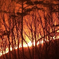 울산 온양읍 대운산 산불 확산...주민 대피