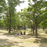 부산, '자연·인간 공존 도시' 선정…