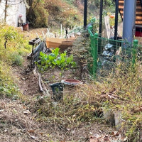 '코 찌르는 악취'에…불법 경작 아파트 텃밭 '발각'
