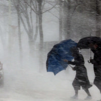 대전·충남 폭설에 강풍 불면서 교통·낙상 등 피해 잇따라
