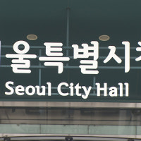 반려동물 있어도 서울시 청년안심주택 입주 가능해져