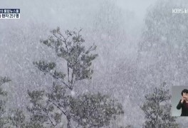 전북 전역 ‘태풍급 강풍’…내일까지 최고 15cm 눈