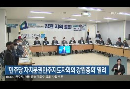 ‘민주당 자치분권민주지도자회의 강원총회’ 열려