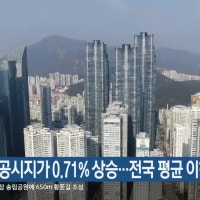 부산 개별공시지가 0.71% 상승…전국 평균 이하