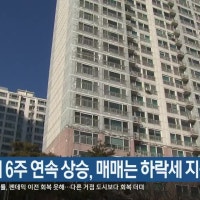 부산 전세 6주 연속 상승, 매매는 하락세 지속