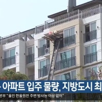 6월 대구 아파트 입주 물량, 지방도시 최다