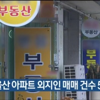 1분기 울산 아파트 외지인 매매 건수 55.9%↑