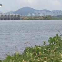 대저·장낙대교 국가 심의 통과…건설 본격화