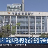 ‘투자 사기’ 국힘 대전시당 청년위원장 구속 송치