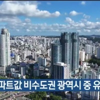 울산 주간 아파트값 비수도권 광역시 중 유일 상승