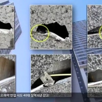 청년 위한 행복주택?…부실시공 수두룩
