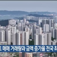 울산 8월 아파트 매매 거래량과 금액 증가율 전국 최고