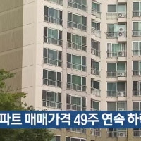 대구 아파트 매매가격 49주 연속 하락