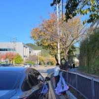 아파트 분양 불법 현수막 여전…광주광역시, 아파트 분양 불법 현수막 ...