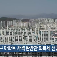 “올해 대구 아파트 가격 완만한 회복세 전망”