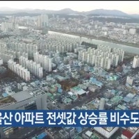 지난해 울산 아파트 전셋값 상승률 비수도권 ‘최고’