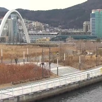 북항 친수공원 기준치 3.5배 ‘비소’…정화 명령