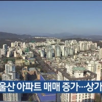 지난해 울산 아파트 매매 증가…상가는 감소